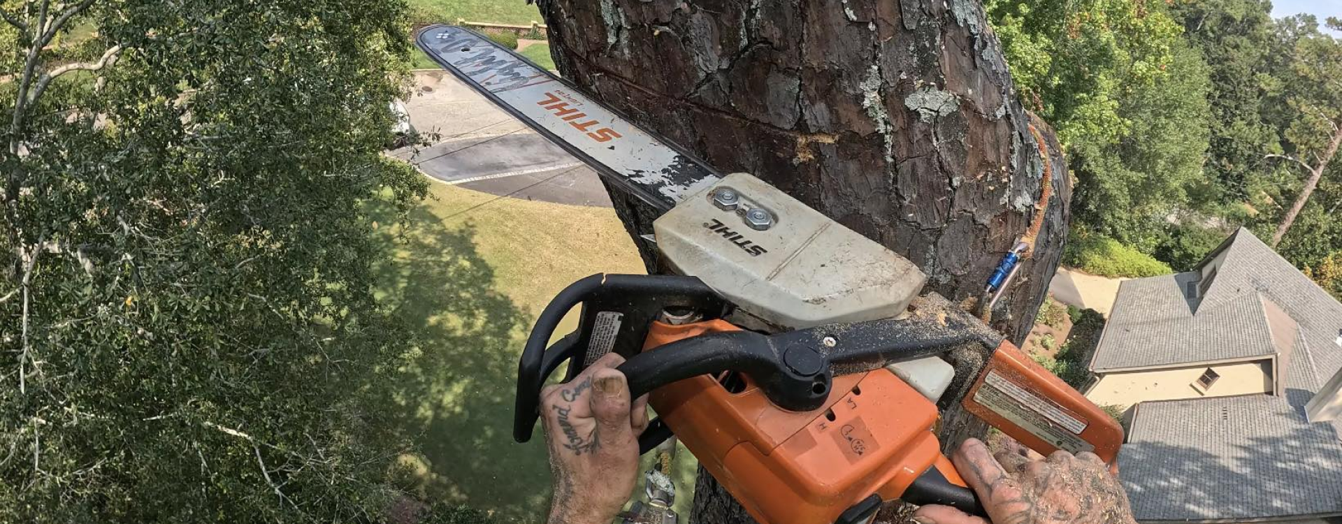 Hero Full Width Frame (1)