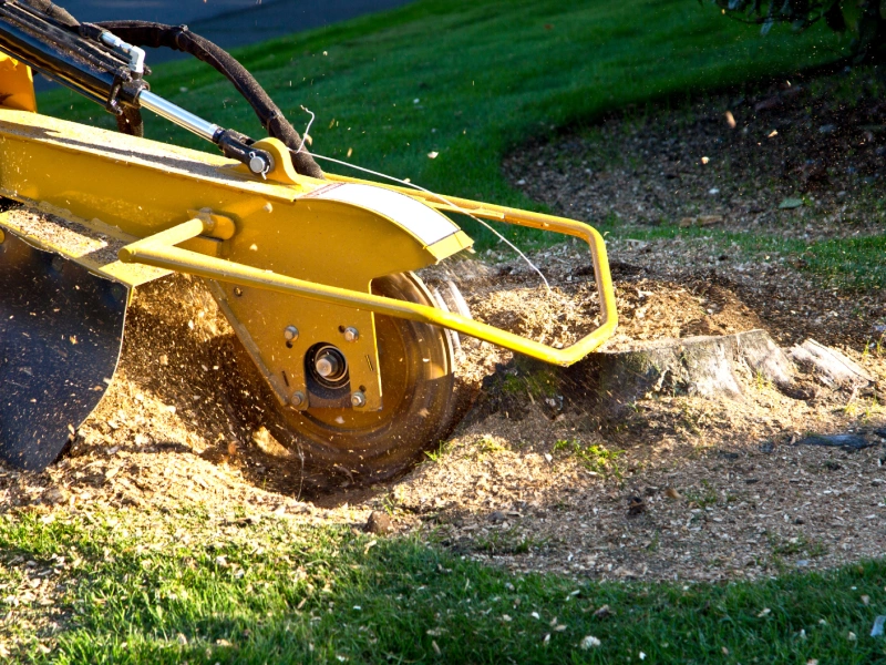 how to grind a tree stump blog